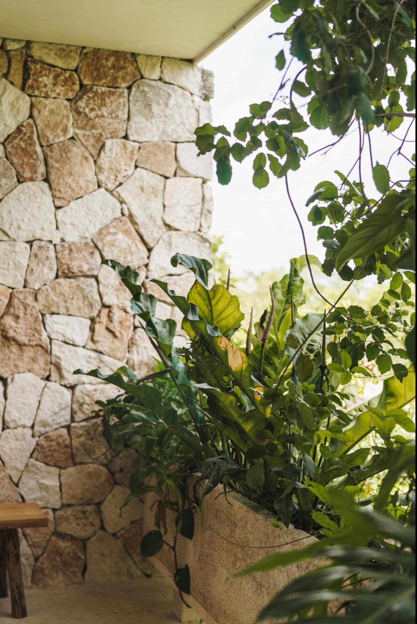 Teva Tulum, Aldea Zama Apartment Exterior photo
