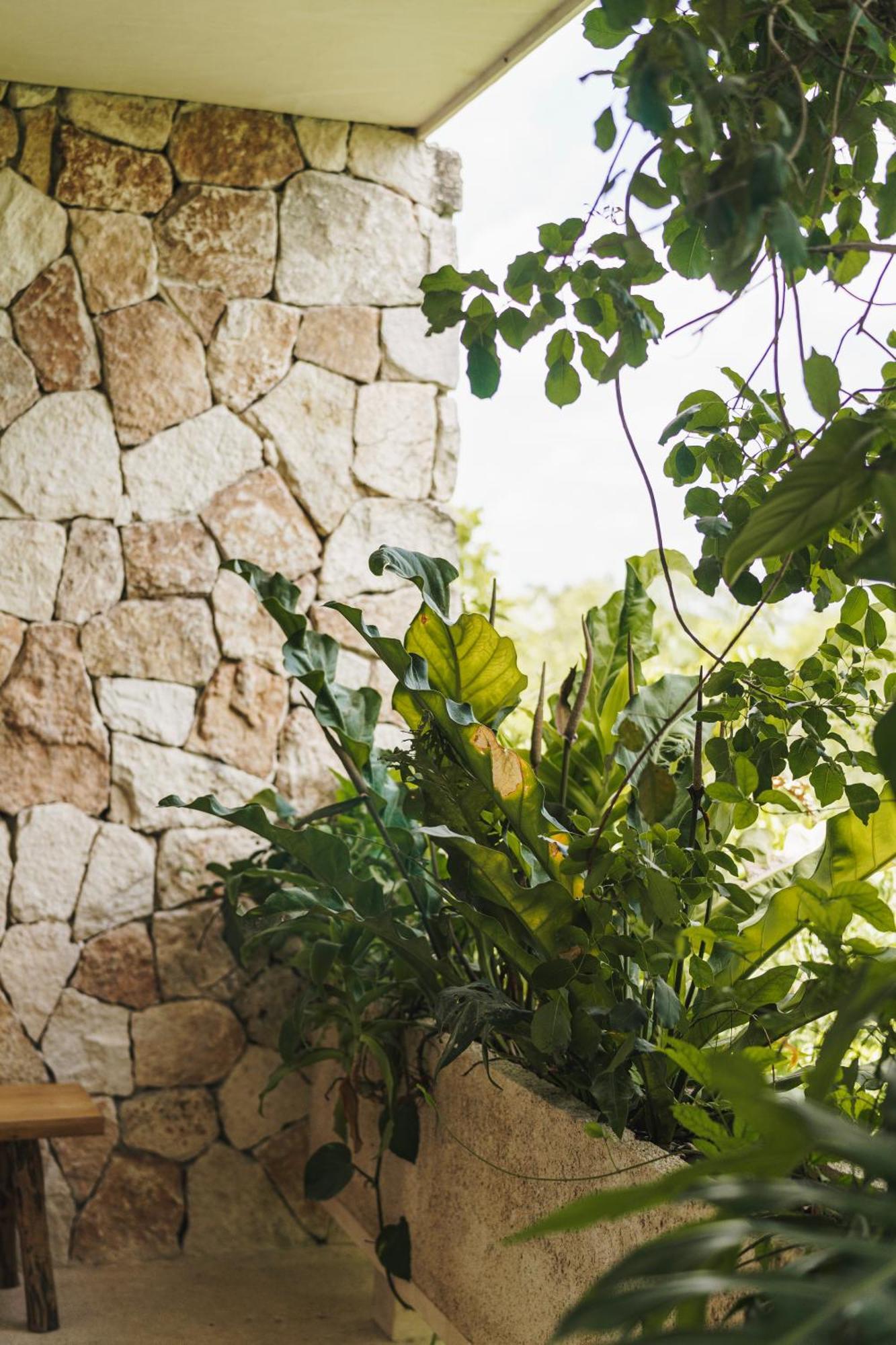 Teva Tulum, Aldea Zama Apartment Exterior photo